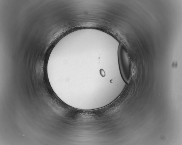 X0000089930300200707201846