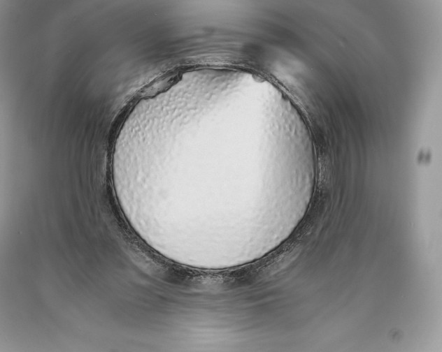 X0000089930301200707201846