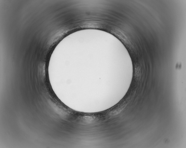 X0000089930302200707201846