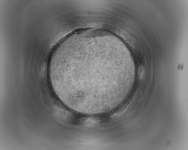 X0000089930303200707201846