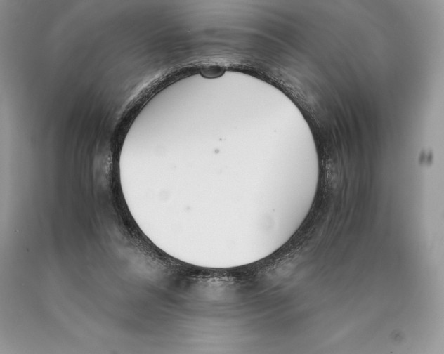 X0000089930304200707201846