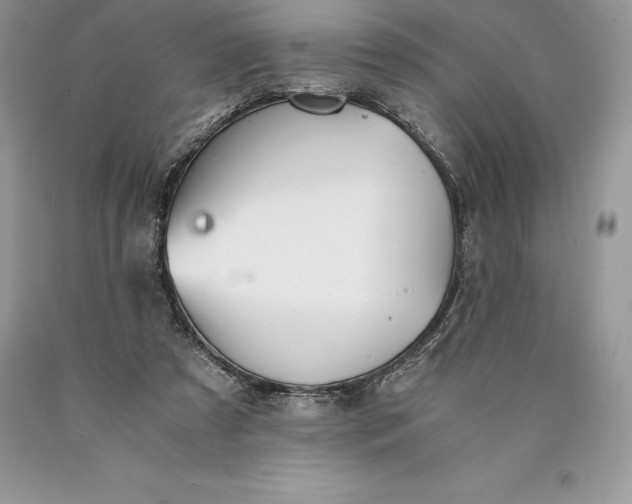 X0000089930305200707201846