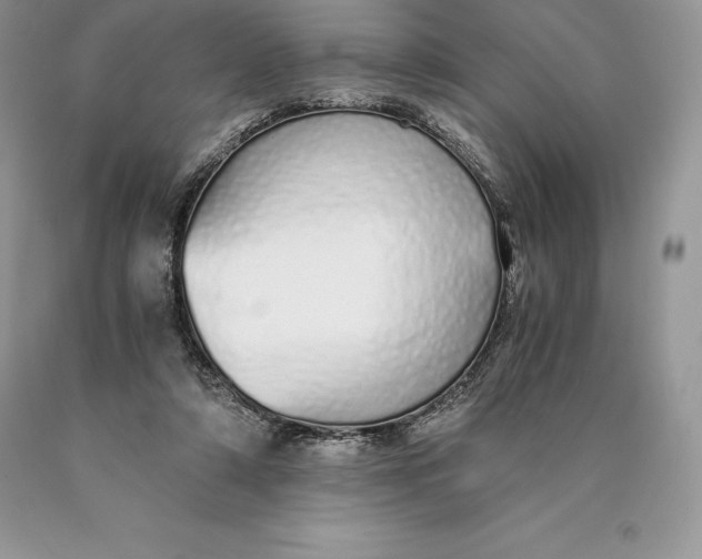 X0000089930306200707201846