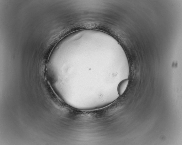 X0000089930307200707201846