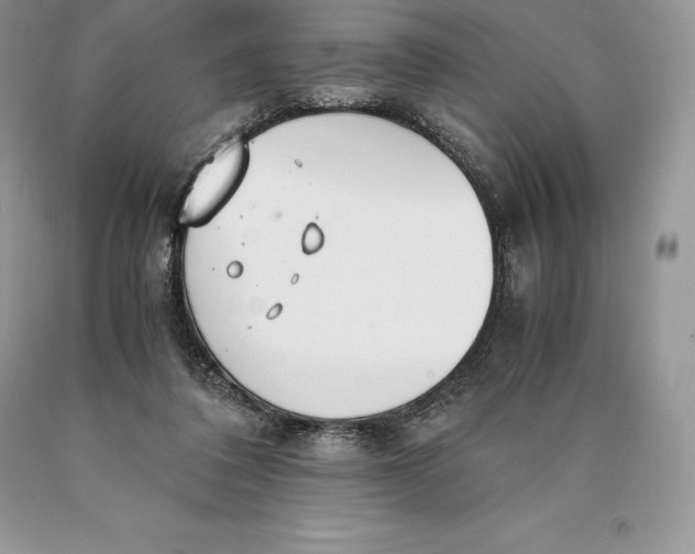 X0000089930308200707201846