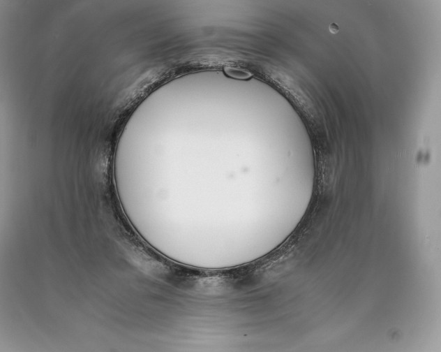 X0000089930309200707201846