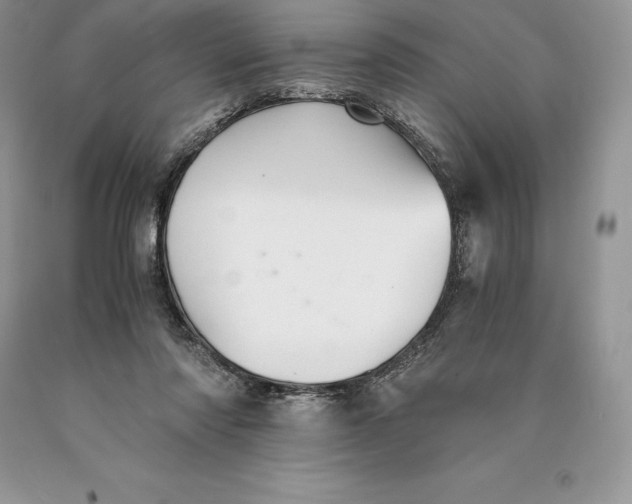 X0000089930310200707201846