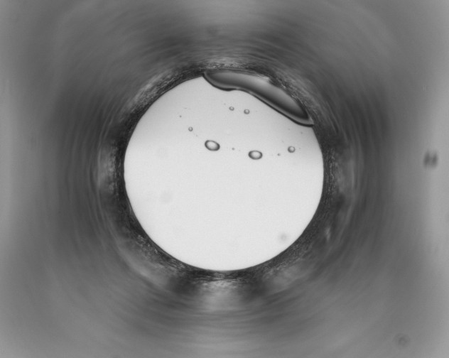 X0000089930312200707201846