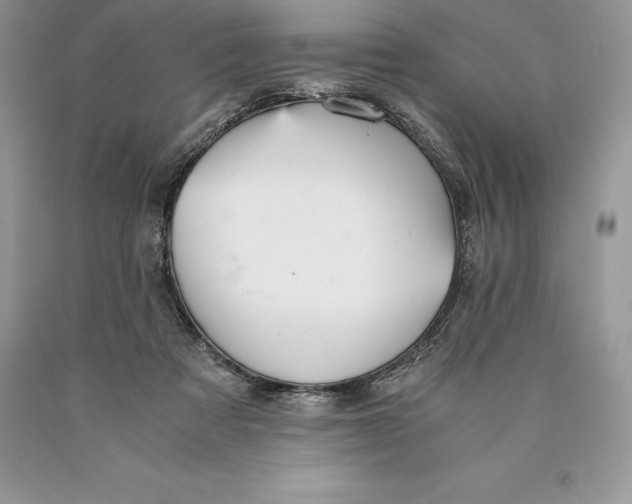 X0000089930313200707201846