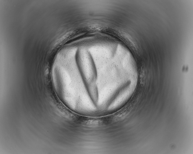 X0000089930314200707201846