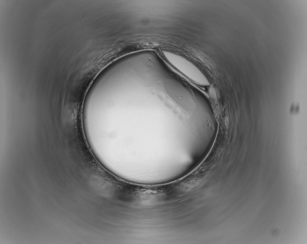 X0000089930315200707201846