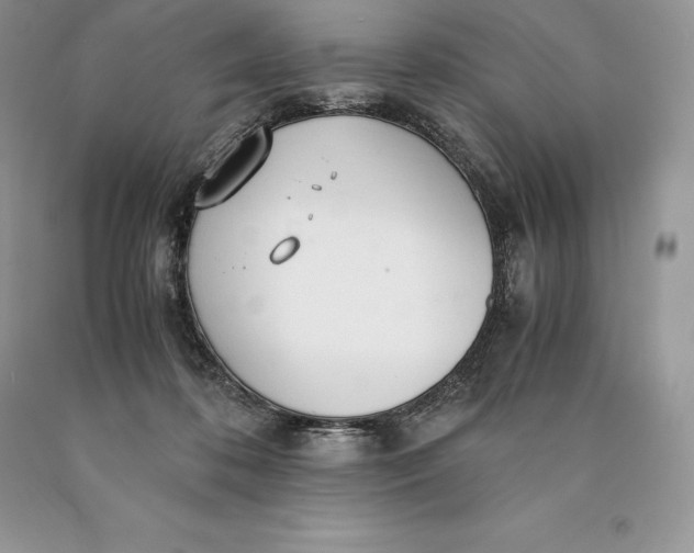 X0000089930316200707201846