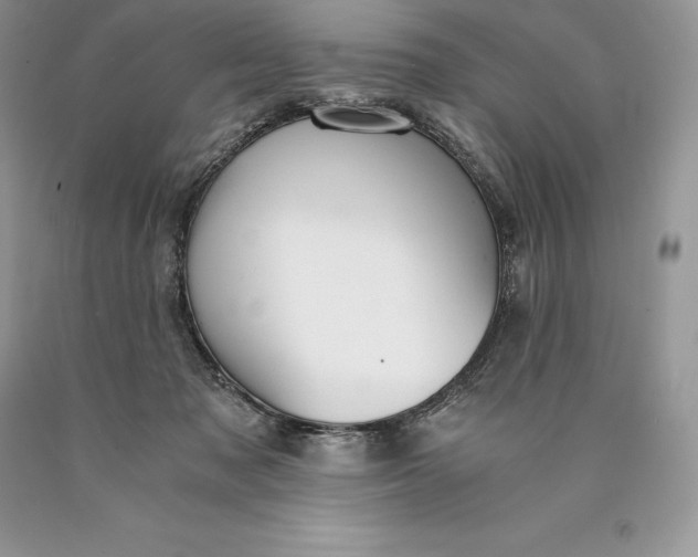 X0000089930317200707201846