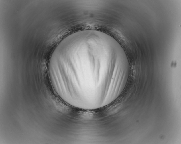 X0000089930318200707201846