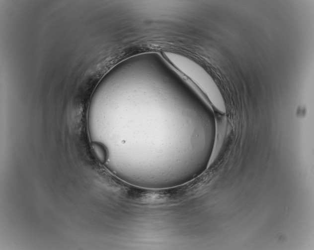 X0000089930319200707201846