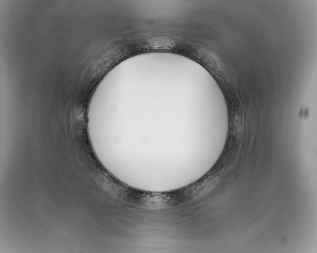 X0000089930321200707201846