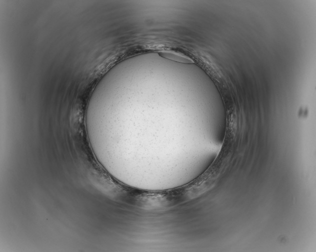 X0000089930322200707201846