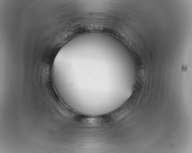 X0000089930323200707201846