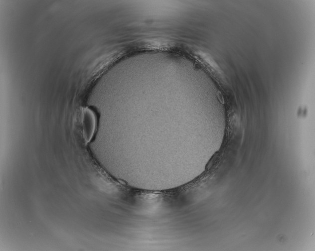 X0000089930325200707201846