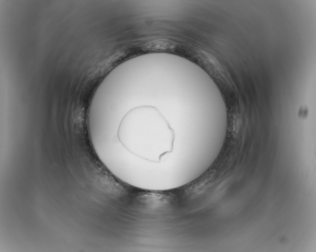 X0000089930326200707201846