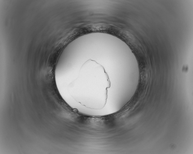 X0000089930327200707201846