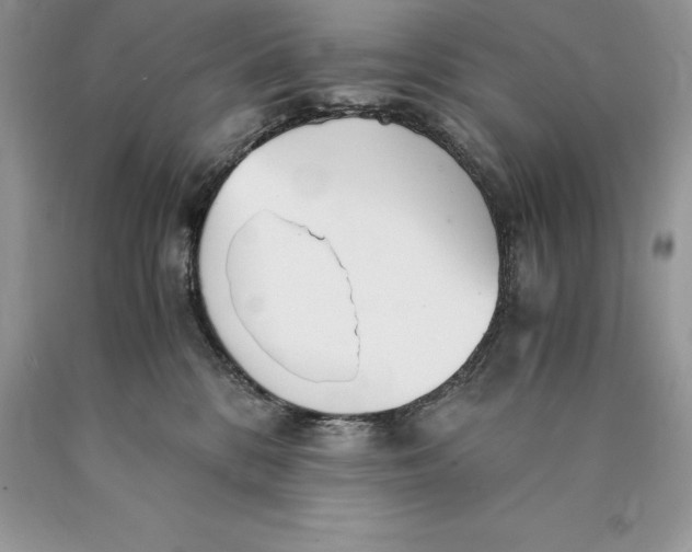 X0000089930328200707201846