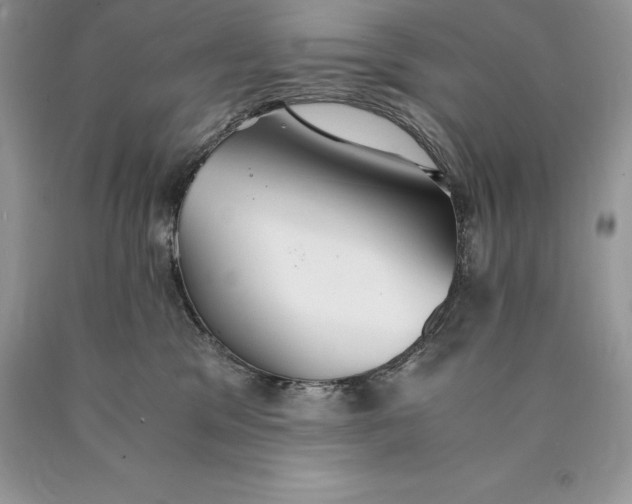 X0000089930329200707201846