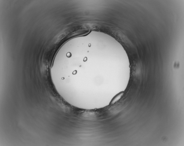 X0000089930332200707201846