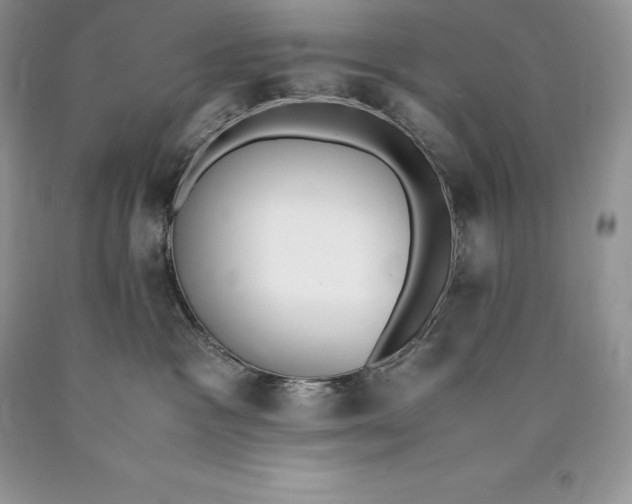 X0000089930333200707201846