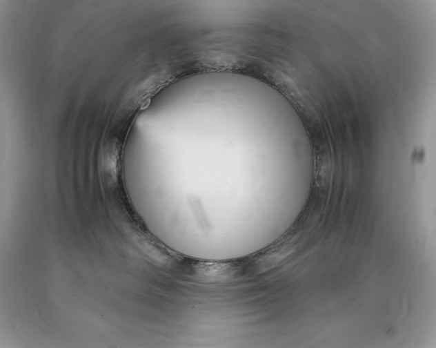 X0000089930334200707201846