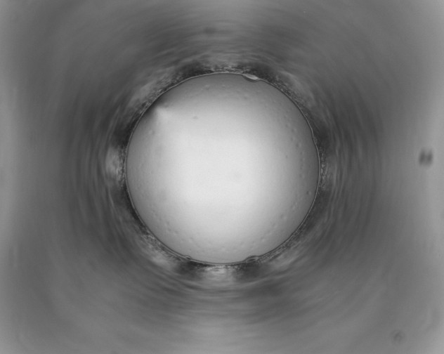 X0000089930335200707201846