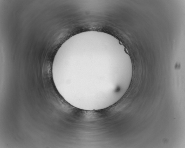 X0000089930336200707201846