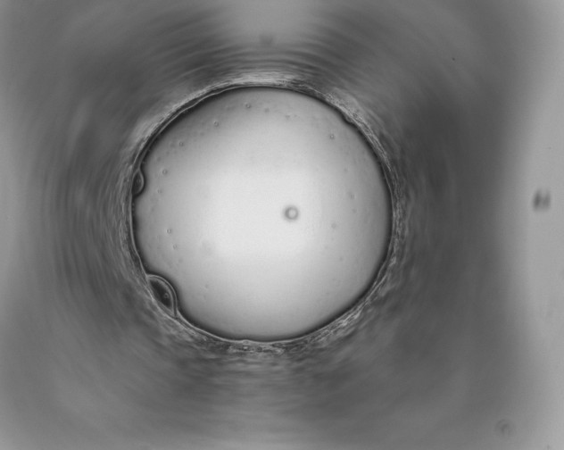 X0000089930337200707201845