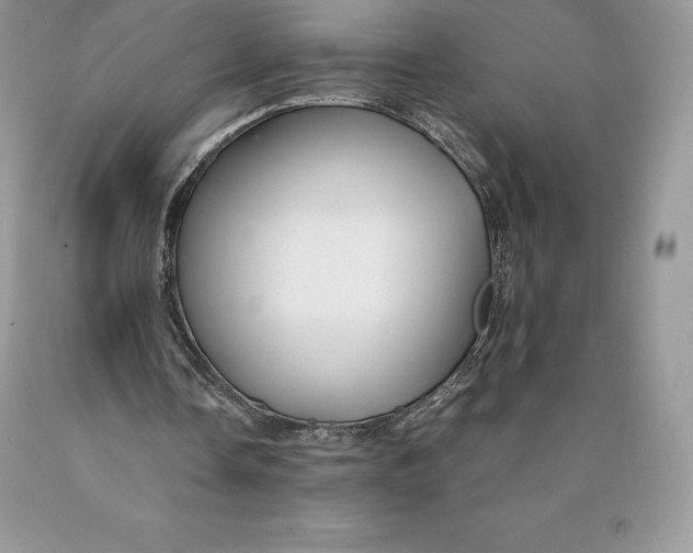 X0000089930338200707201845