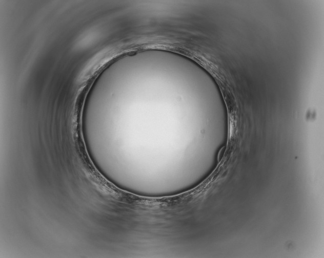 X0000089930339200707201845