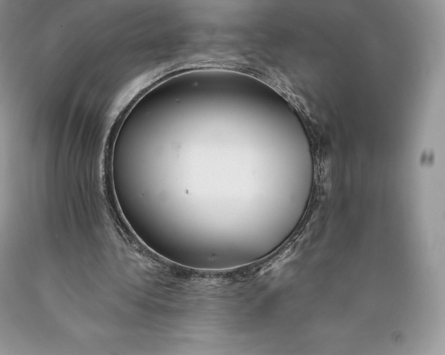 X0000089930340200707201845