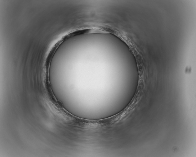 X0000089930342200707201845