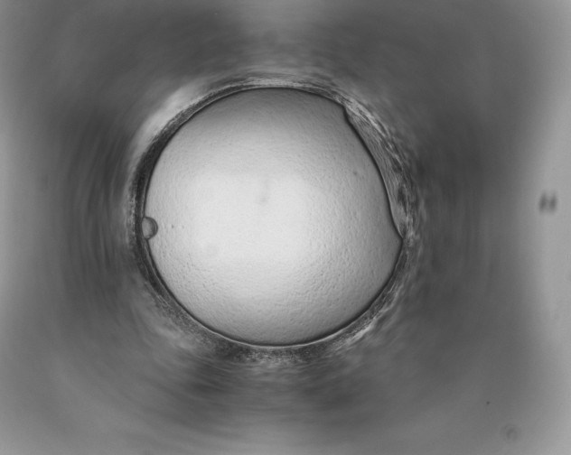 X0000089930343200707201845