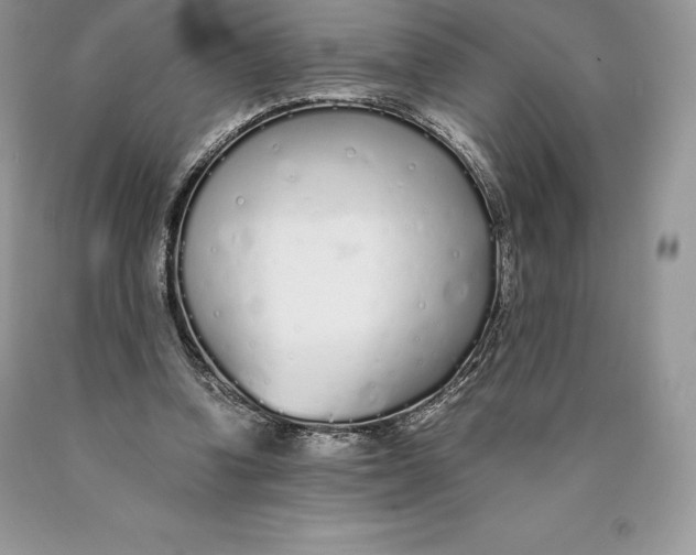 X0000089930346200707201845