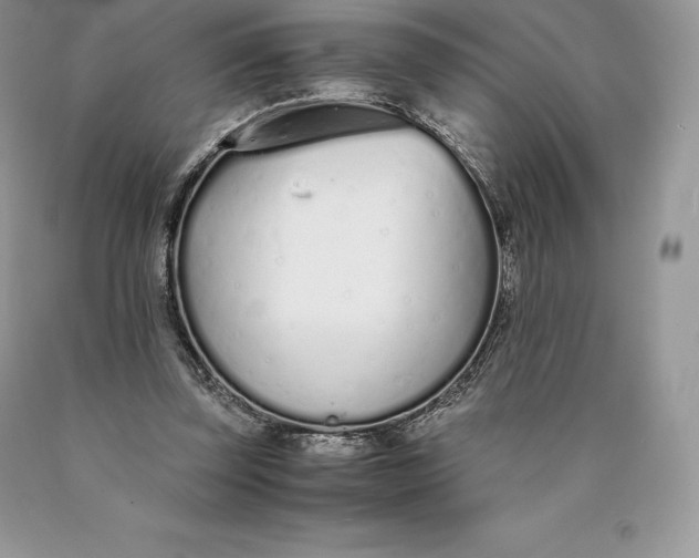 X0000089930347200707201845