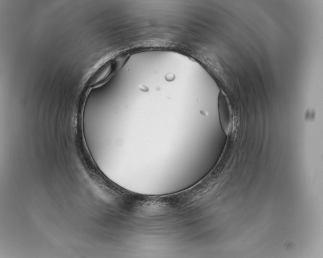 X0000089930348200707201845