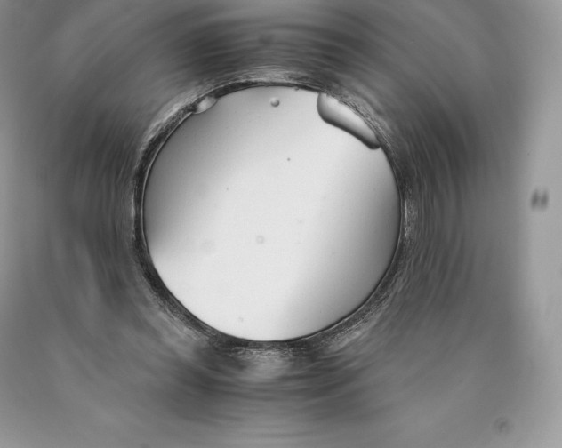 X0000089930349200707201845