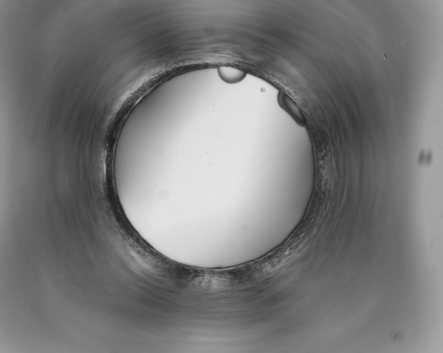 X0000089930350200707201845