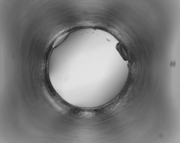 X0000089930352200707201845