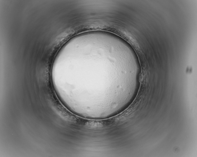 X0000089930354200707201845