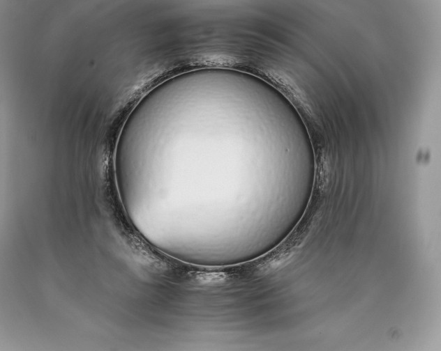 X0000089930355200707201845