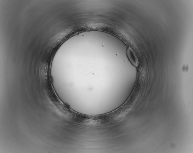 X0000089930356200707201845