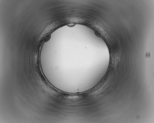 X0000089930357200707201845