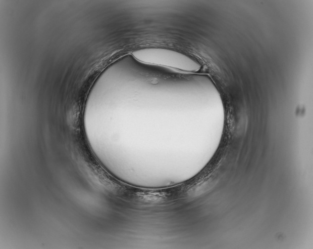 X0000089930359200707201845