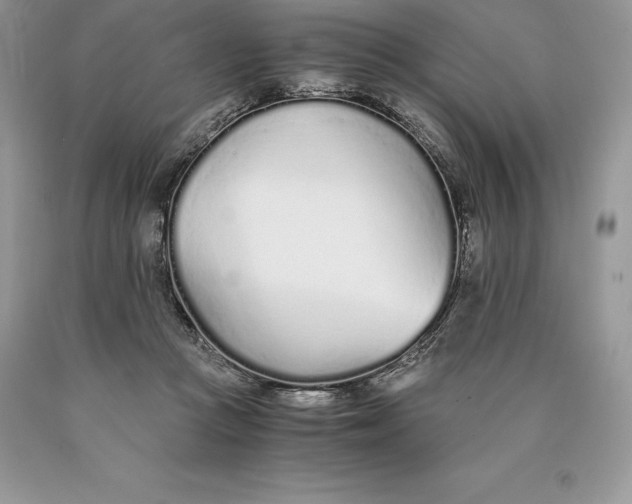 X0000089930361200707201845